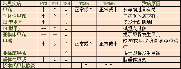 如何解讀甲狀腺功能五項結果